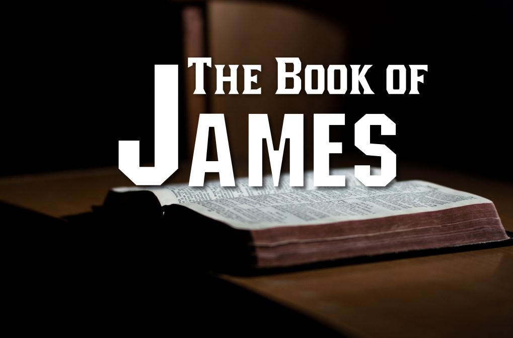 book of james bible study francis chan